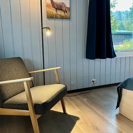 Morgedal Gjestehus Penzion Morgedal